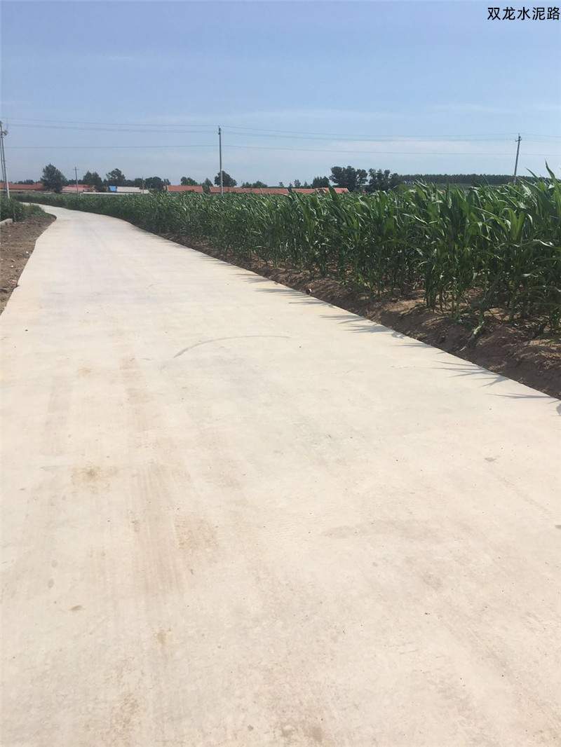 雙龍水泥路